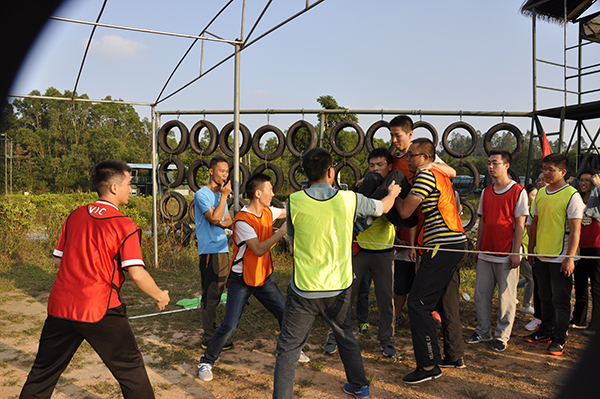 1479894402697897.jpg _DSC0816.jpg