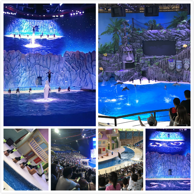 1505987566212251.jpg 7.jpg